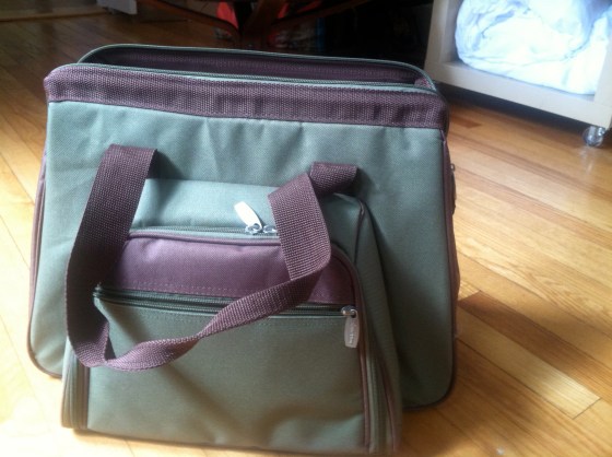 The infamous picnic bag...