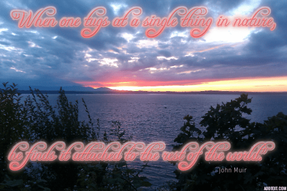 addtext_com_MjE0NTU5MTI2Mw