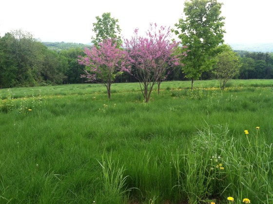 Near the street where i live