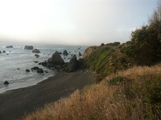 Mendocino coast