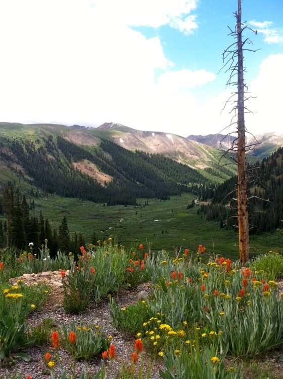 Independence Pass, Colorado
