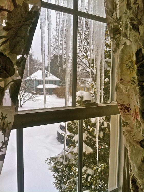 Snowed-in, Massachusetts