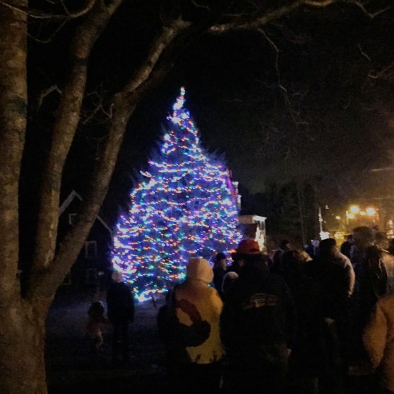 Lighting of the town Christmas tree