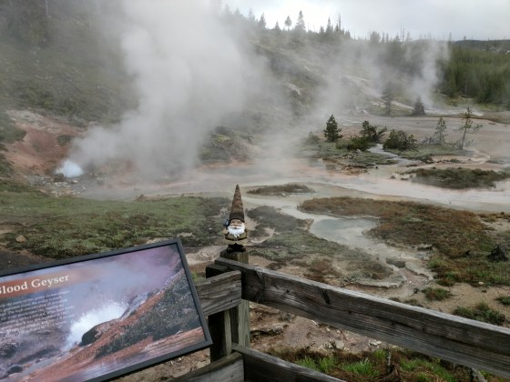 IMG_20180518_182139792