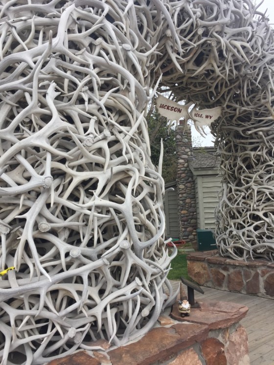 UNADJUSTEDNONRAW_thumb_8671